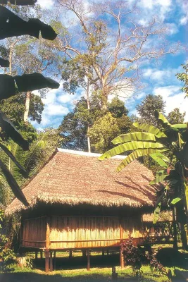 Bild: Eco-Lodges: Hautnah den peruanischen Regenwald erleben