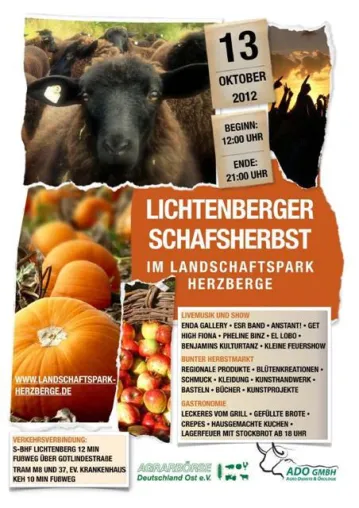 Bild: Lichtenberger Schafsherbst im Landschaftspark Herzberge