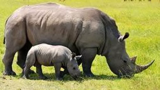 Bild: Südafrika mit Kindern. Die ideale Reisezeit für einen Familienurlaub in Südafrika