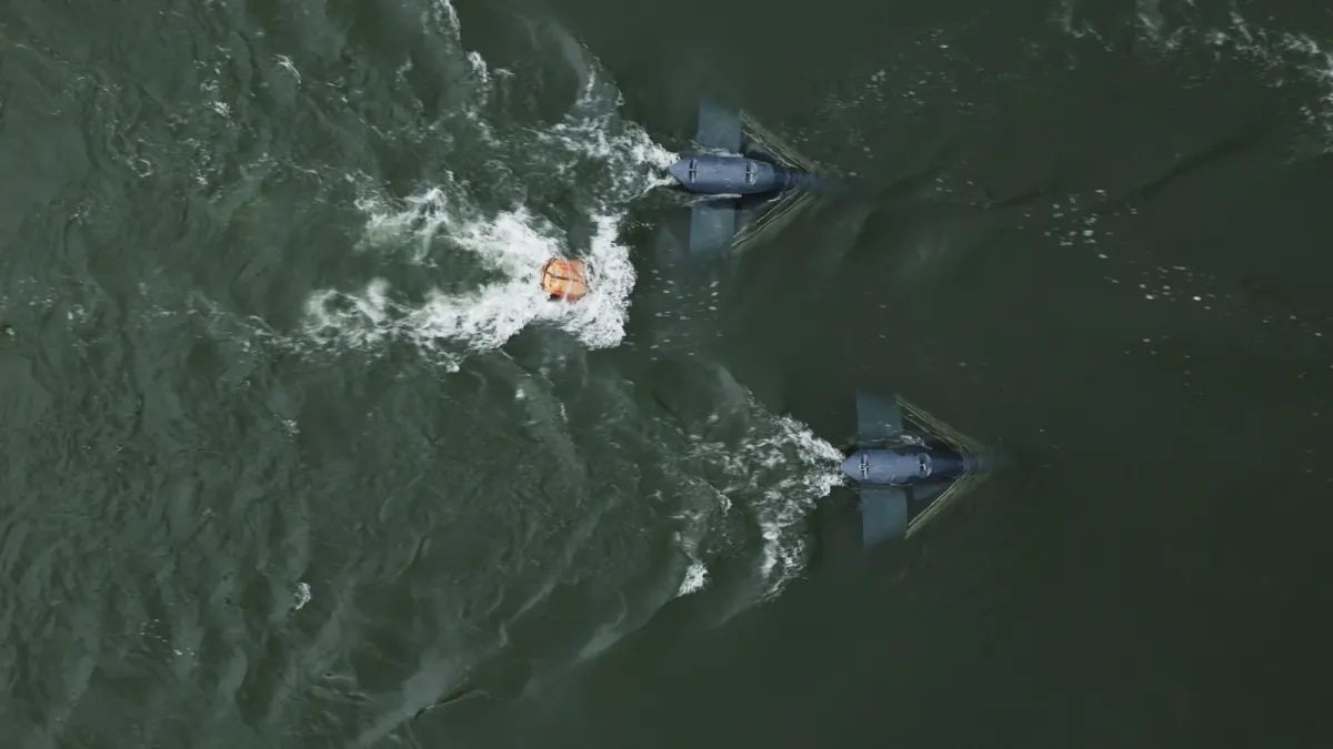 Die ersten Energyfische im Rhein bei St. Goar (© Energyminer GmbH)