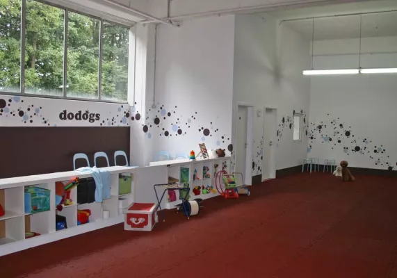 Bild: Hunde im Herbst - Indoor-Hundetraining als Alternative zu Outdoor-Aktivitäten