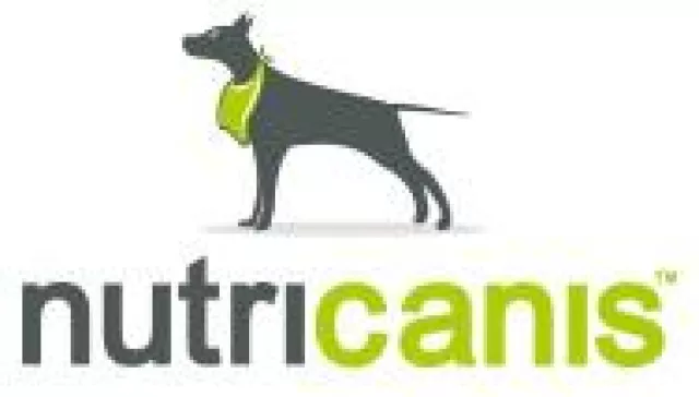 Bild: Können Hunde einen Kater kriegen?
