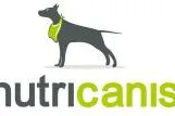 Können Hunde einen Kater kriegen? Bild: Können Hunde einen Kater kriegen?