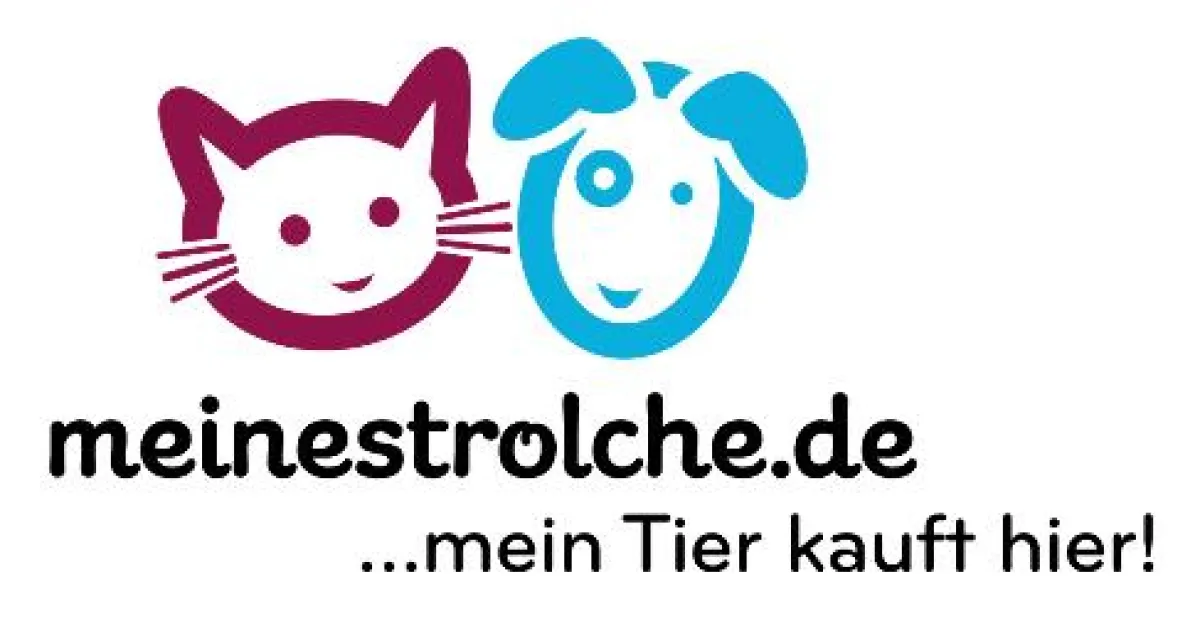 Logo meinestrolche.de