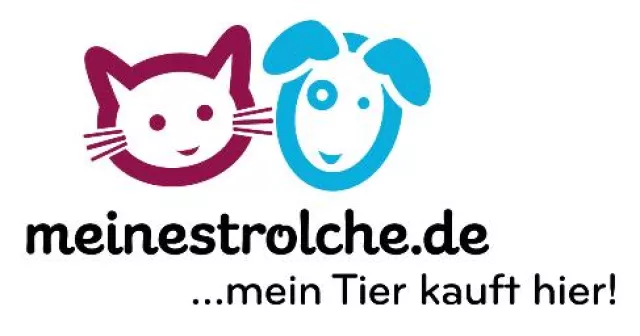 Bild: Einkaufsparadies für Strolche eröffnet