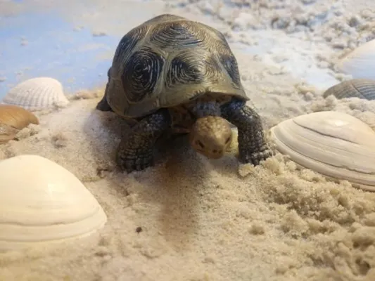 Bild: Psychotherapie in Dortmund: Auf Sand gebaut?