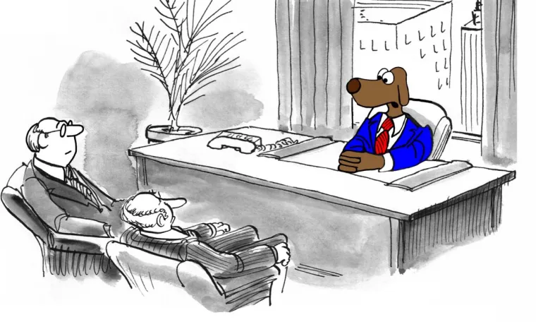 Bild: Harald de Vries - Vorsicht vor Fake-Investoren: Neues Buch enthüllt Betrugsmethoden und gibt Tipps zum Schutz 