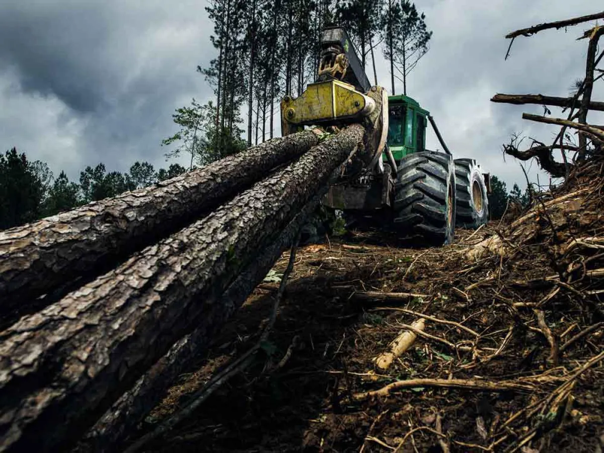 Der neue Nokian Logger King LS-2 Forstreifen für Skidder von Nokian Heavy Tyres   Foto: Nokian Tyres