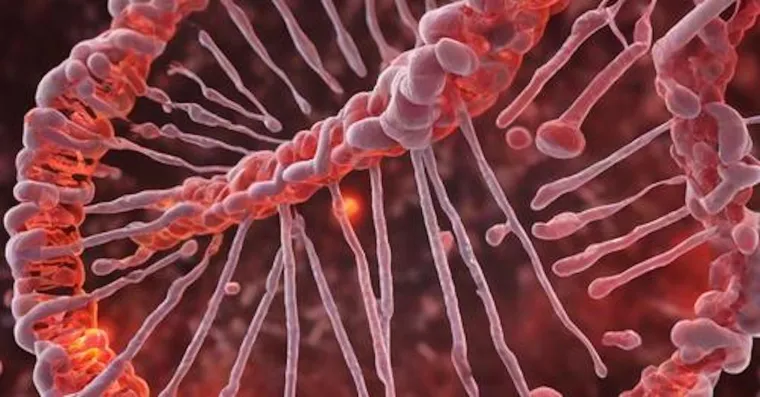 Warum Warten bei Diagnose "Metastasen" gefährlich ist? Bild: Warum Warten bei Diagnose "Metastasen" gefährlich ist?