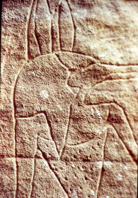 Bild: Anubis im Outback