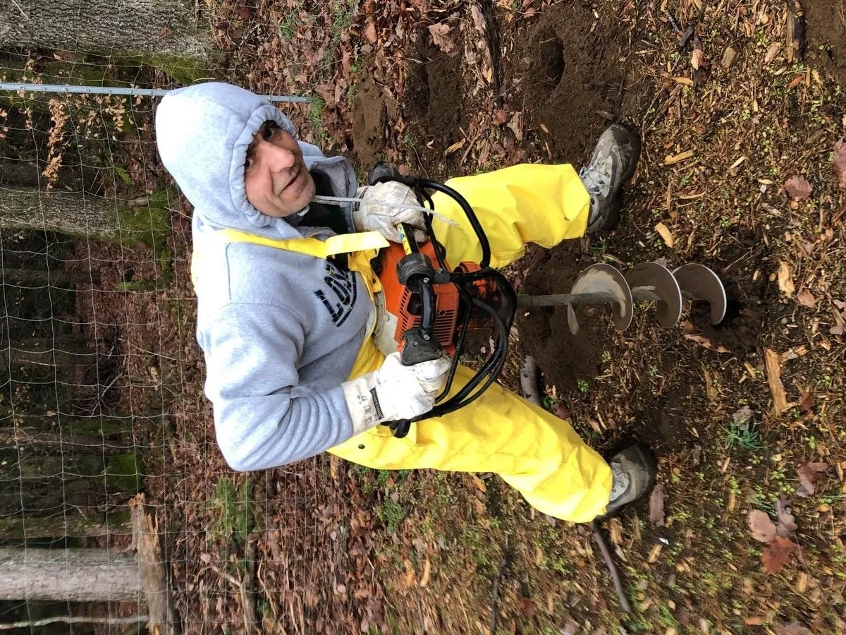 weee full-service forstet mit Plant-my-Tree im Südharz-Hayn auf