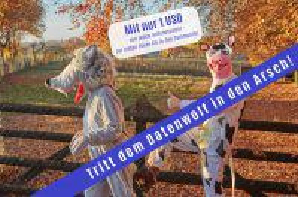 APOOS Crowdfunding für die erste faire All-in-One Community