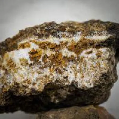 Bild: Prominente Investoren setzen auf Gold