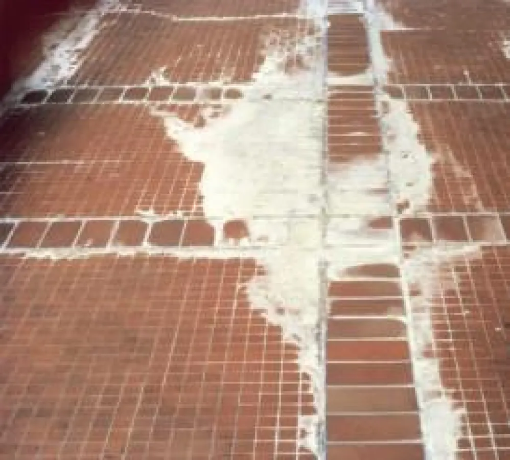 Ausblühungen sind nicht nur unschön, sondern greifen auch die Bausubstanz an