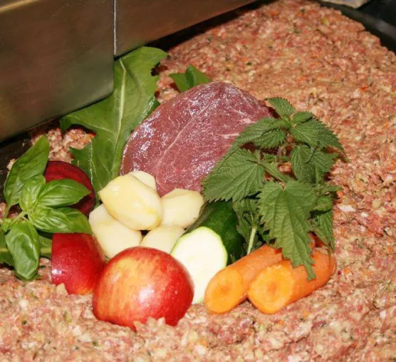Erstes rohes Alleinfutter für Hunde wird in Österreich produziert Bild: Erstes rohes Alleinfutter für Hunde wird in Österreich produziert