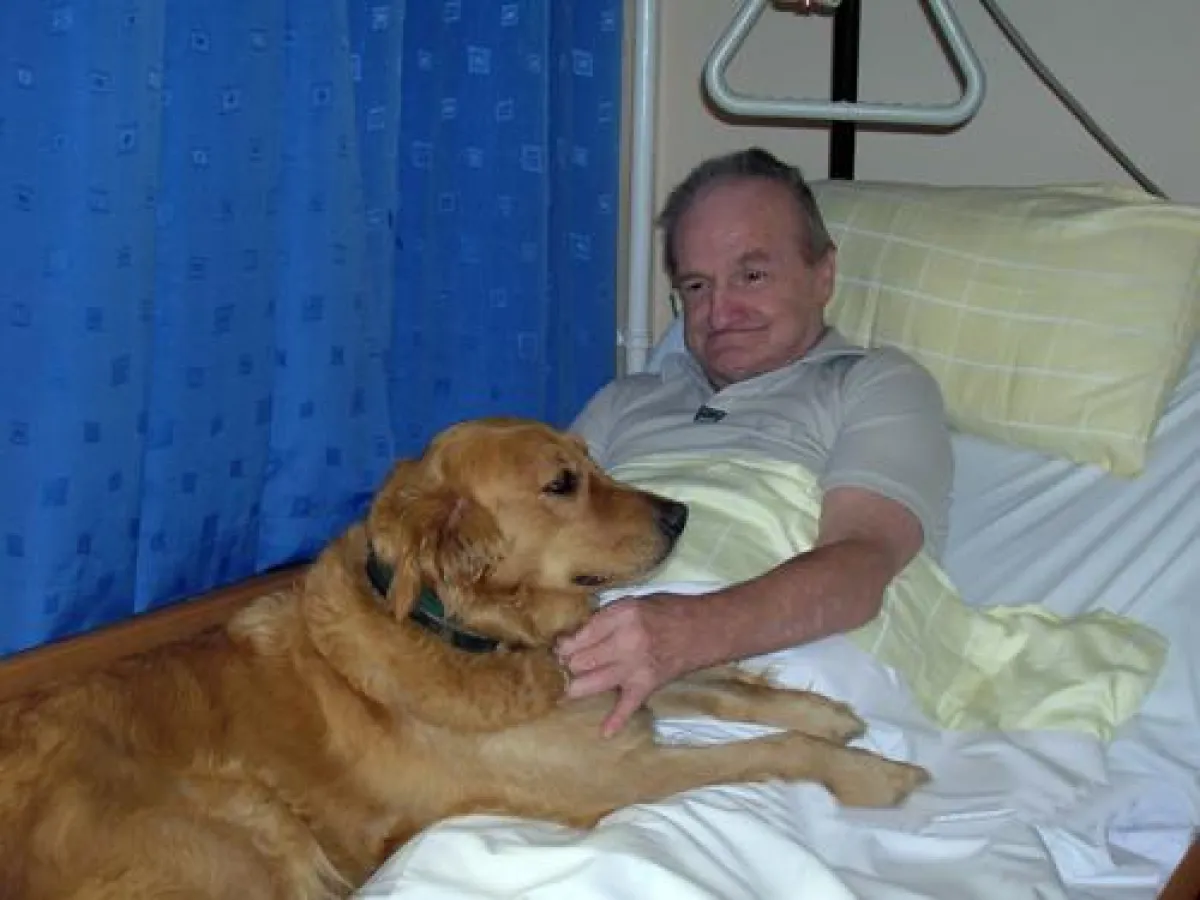 Therapiebegleihund im Einsatz