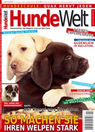 Nierenerkrankungen sind bei Hunden auf dem Vormarsch Bild: Nierenerkrankungen sind bei Hunden auf dem Vormarsch