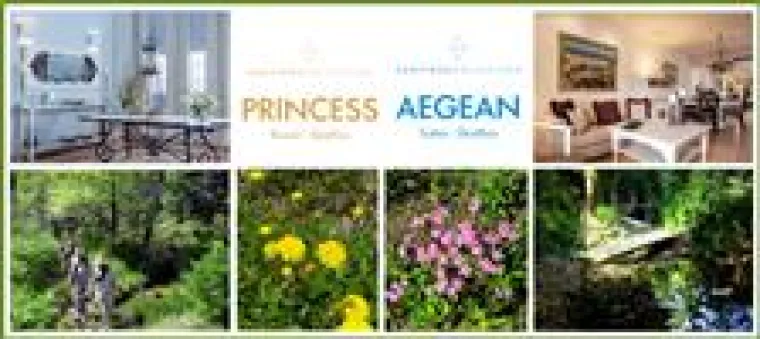 Bild: Frühlings-Kräuterduft auf Skiathos