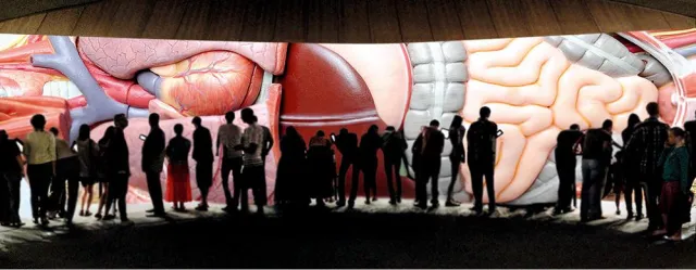 Bild: Staatliche Schule Gesundheitspflege W4, Hamburg, eröffnet visionären Raum für selbstorganisiertes Lernen