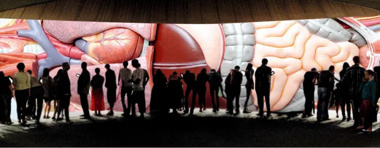 Staatliche Schule Gesundheitspflege W4, Hamburg, eröffnet visionären Raum für selbstorganisiertes Lernen Bild: Staatliche Schule Gesundheitspflege W4, Hamburg, eröffnet visionären Raum für selbstorganisiertes Lernen