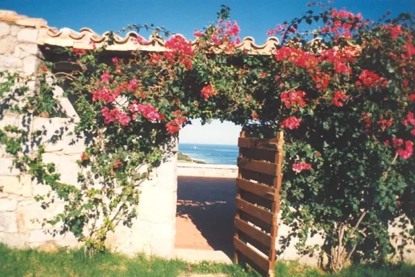 Bild: Lieblingsmotiv Sardinien - Malen in der Ferienvilla mit Sardegna GmbH