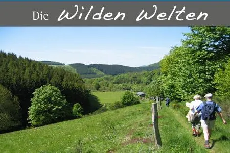 Bild: Samstag 30.05.2009 - Geführte Wanderung auf dem Hohen Knochen im Sauerland