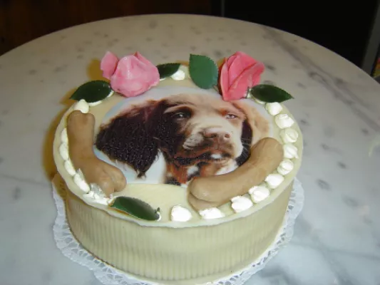 Bild: Hundekuchen aus der Konditorei