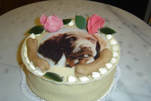 Bild: Hundekuchen aus der Konditorei