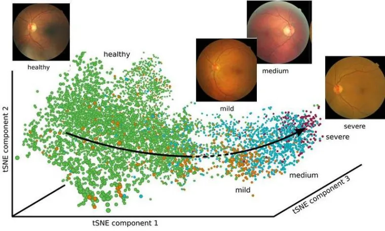 Paint by numbers: Algorithm reconstructs processes from individual images Bild: Paint by numbers: Algorithm reconstructs processes from individual images