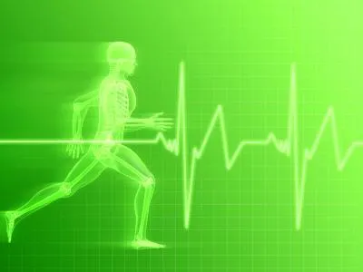 Das Herz mit hohen und variablen Pulsraten Stressresistent machen Bild: Das Herz mit hohen und variablen Pulsraten Stressresistent machen