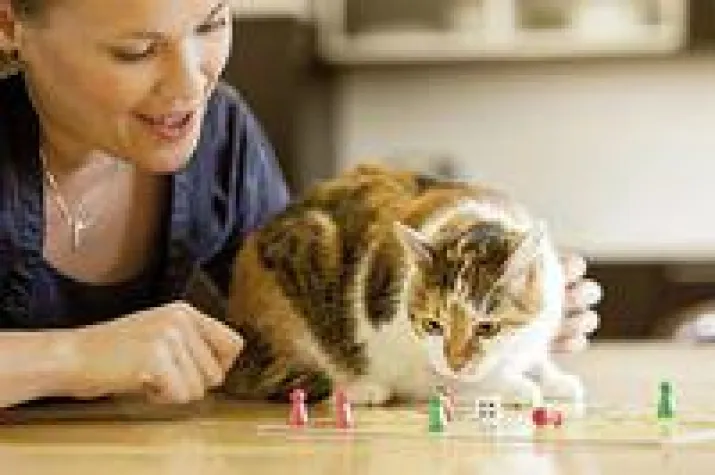 Bild: Forschung für Fiffis Futter