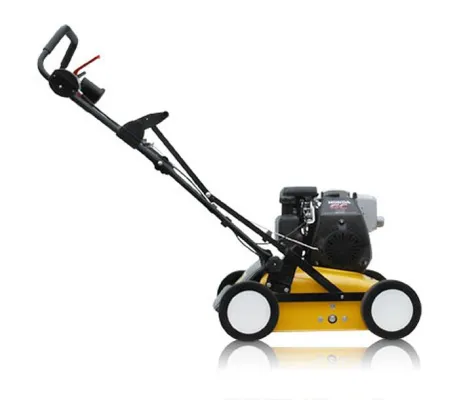 Profi-Rasen: Anfang September ist es wieder an der Zeit den Vertikutierer heraus zu holen Bild: Profi-Rasen: Anfang September ist es wieder an der Zeit den Vertikutierer heraus zu holen