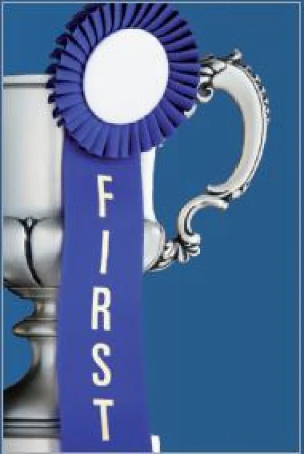 Bester Deutscher Blogger 2009