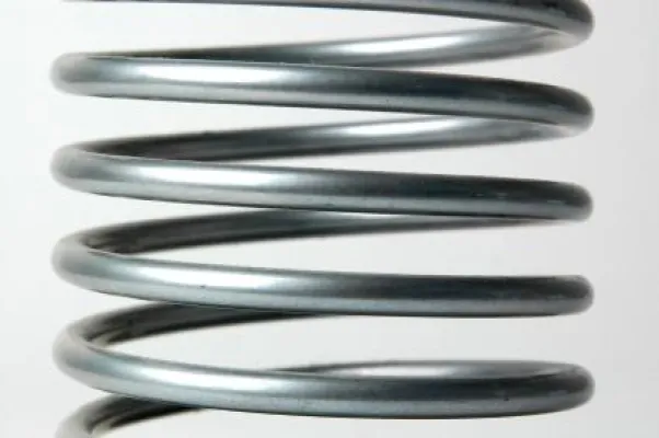 Bild: Federverzeichnis geht online – Europäische und indische Anbieter auf Knopfdruck