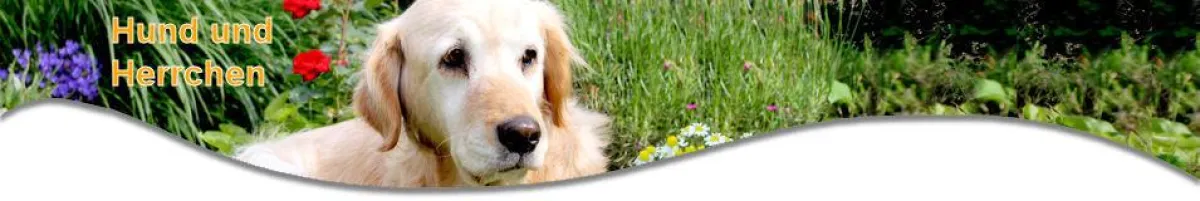 Unterkünfte für Hund und Herrchen