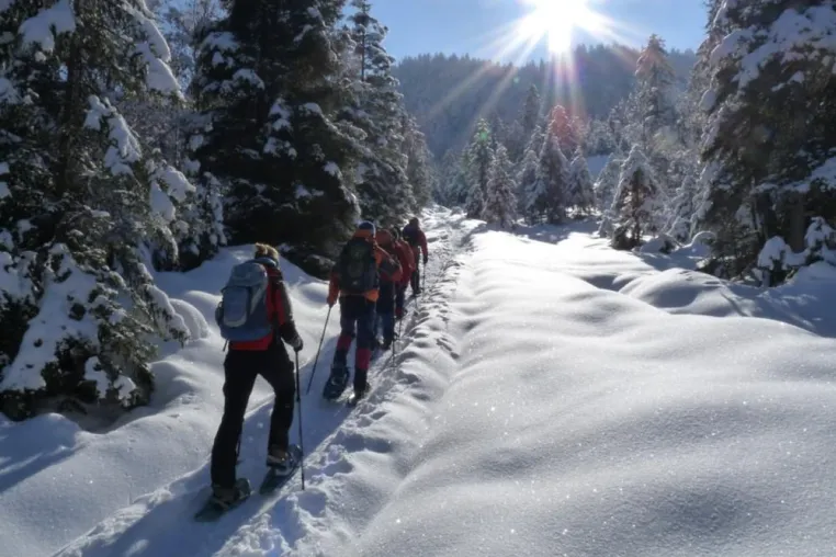 Bild: Weihnachtsgeschenk für Natur-Geniesser – Geschenkgutschein für eine traumhafte Schneeschuhwanderung