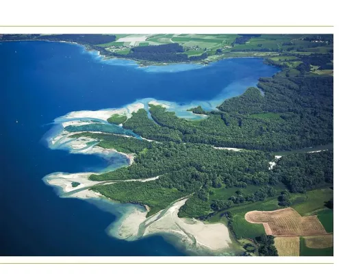Bild: Mitmach-Naturführungen am Chiemsee