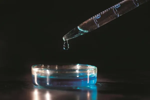 Bild: Schnitzel aus der Petrischale stößt auf Akzeptanz