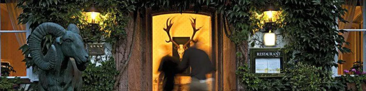 Der Blog des Hotels Döllnsee präsentiert Geschichten aus der Schorfheide