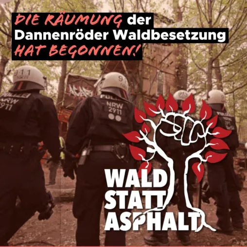 Dannenröder Wald: Solidarität mit den inhaftierten Umweltaktivist*innen in Frankfurt Bild: Dannenröder Wald: Solidarität mit den inhaftierten Umweltaktivist*innen in Frankfurt