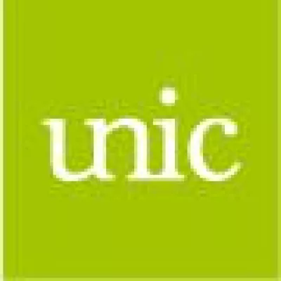 Bild: Unic: Online-Schnittstelle zwischen Fahrer und Auto