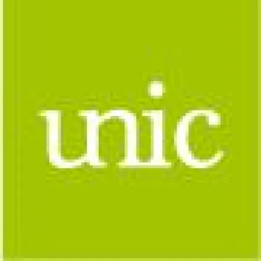 Bild: Unic: Online-Schnittstelle zwischen Fahrer und Auto