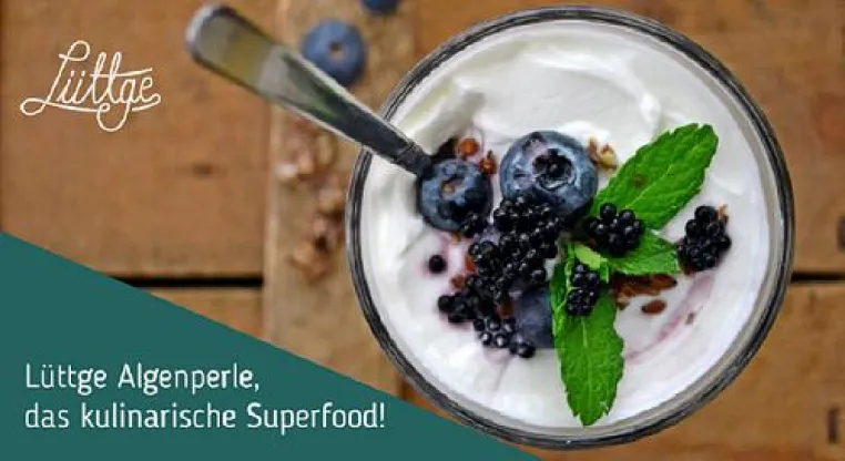 Crowdfunding Kampagne für Algenperle gestartet Bild: Crowdfunding Kampagne für Algenperle gestartet