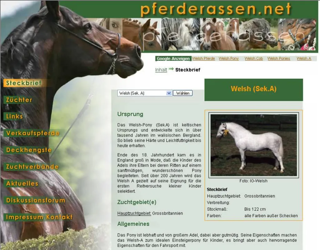 Welsh bei www.pferderassen.net