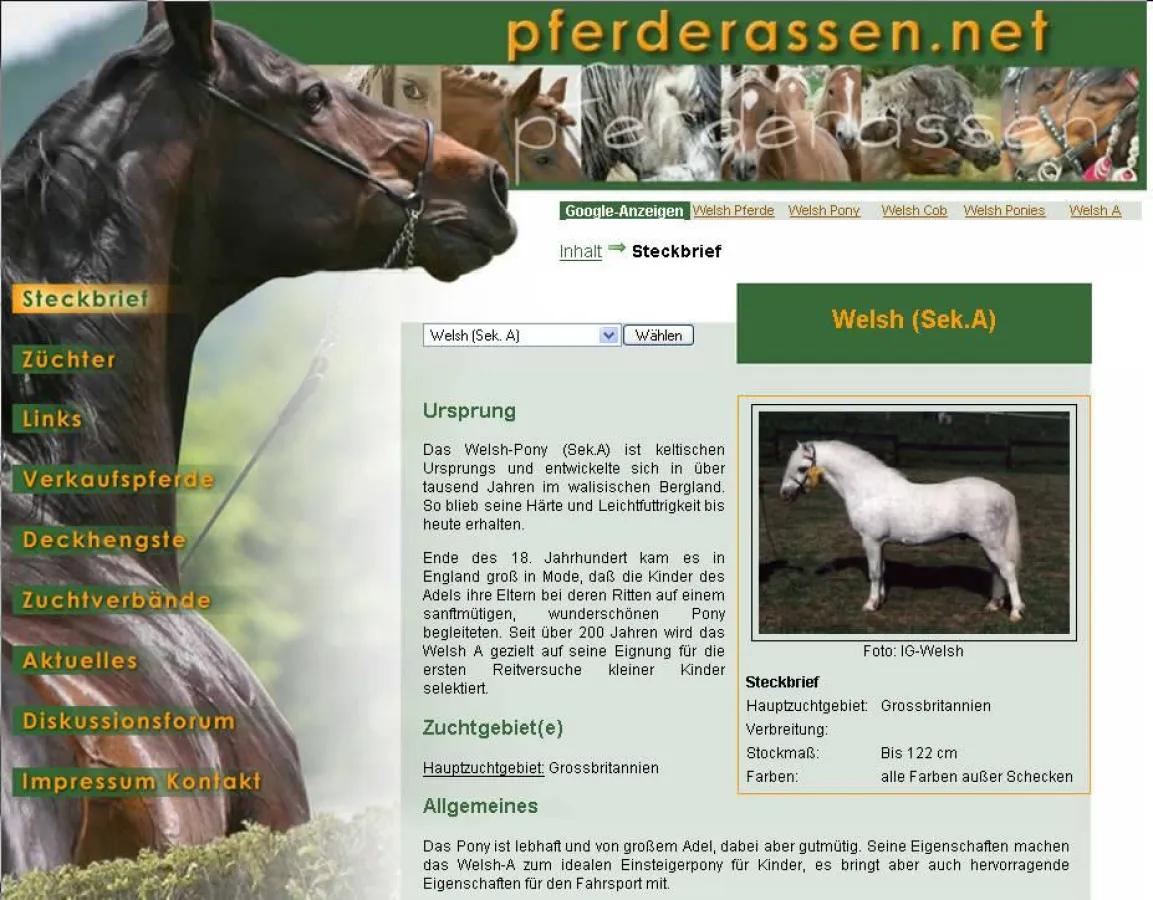 Welsh bei www.pferderassen.net