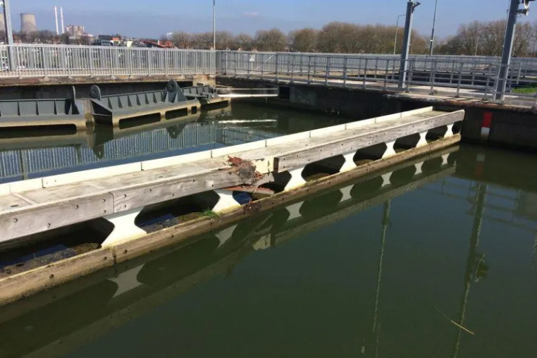 Bild: Glimpflicher Unfall in Schleuse dank ACE
