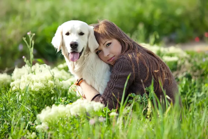 Bild: Mehr als nur eine Welt für Hunde