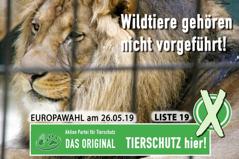 Bild: Wildtiere dürfen nicht zur Schau gestellt werden