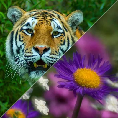 Bild: 2-tägiges Fotoseminar "Naturfotografie halb & halb -Tier- und Pflanzenfotografie“ mit der Fotoschule des Sehens