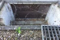 Bild: Tageslicht für den Keller - trittfest & wasserdicht